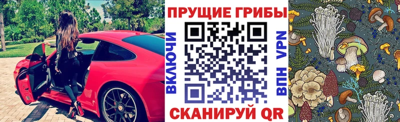 блэк спрут онион  Фёдоровский  Галлюциногенные грибы Cubensis 